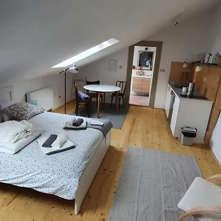 Tichy A Slnecny Loft Mikovini V Rusnom Centre Stiavnice Banská Štiavnica
