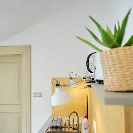 Tichy A Slnecny Loft Mikovini V Rusnom Centre Stiavnice * Banská Štiavnica