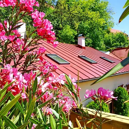 Appartamento Tichy A Slnecny Loft Mikovini V Rusnom Centre Stiavnice Banská Štiavnica