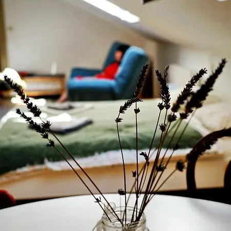 Tichy A Slnecny Loft Mikovini V Rusnom Centre Stiavnice Apartmán